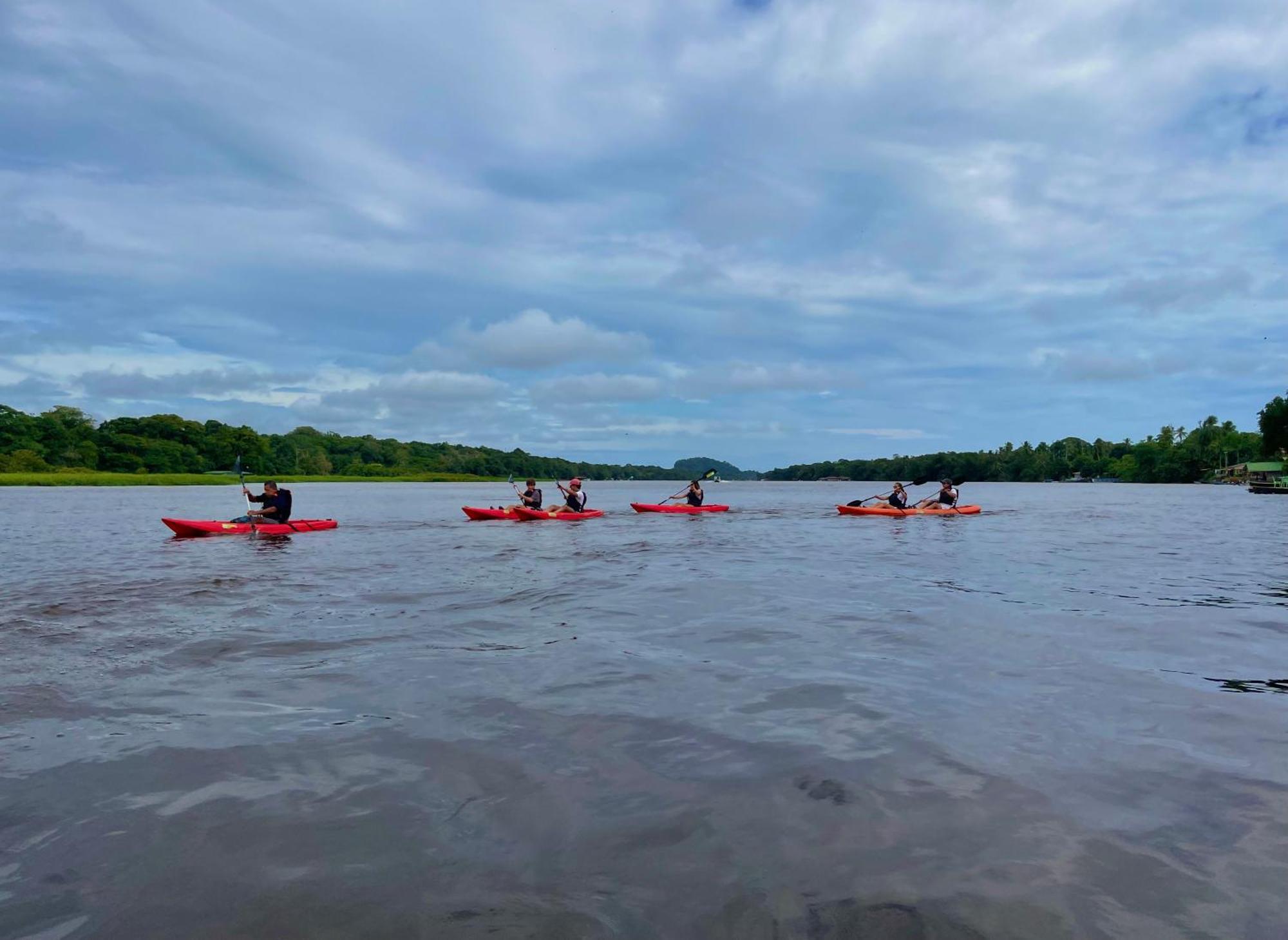 Carey Lodging Tortuguero Εξωτερικό φωτογραφία
