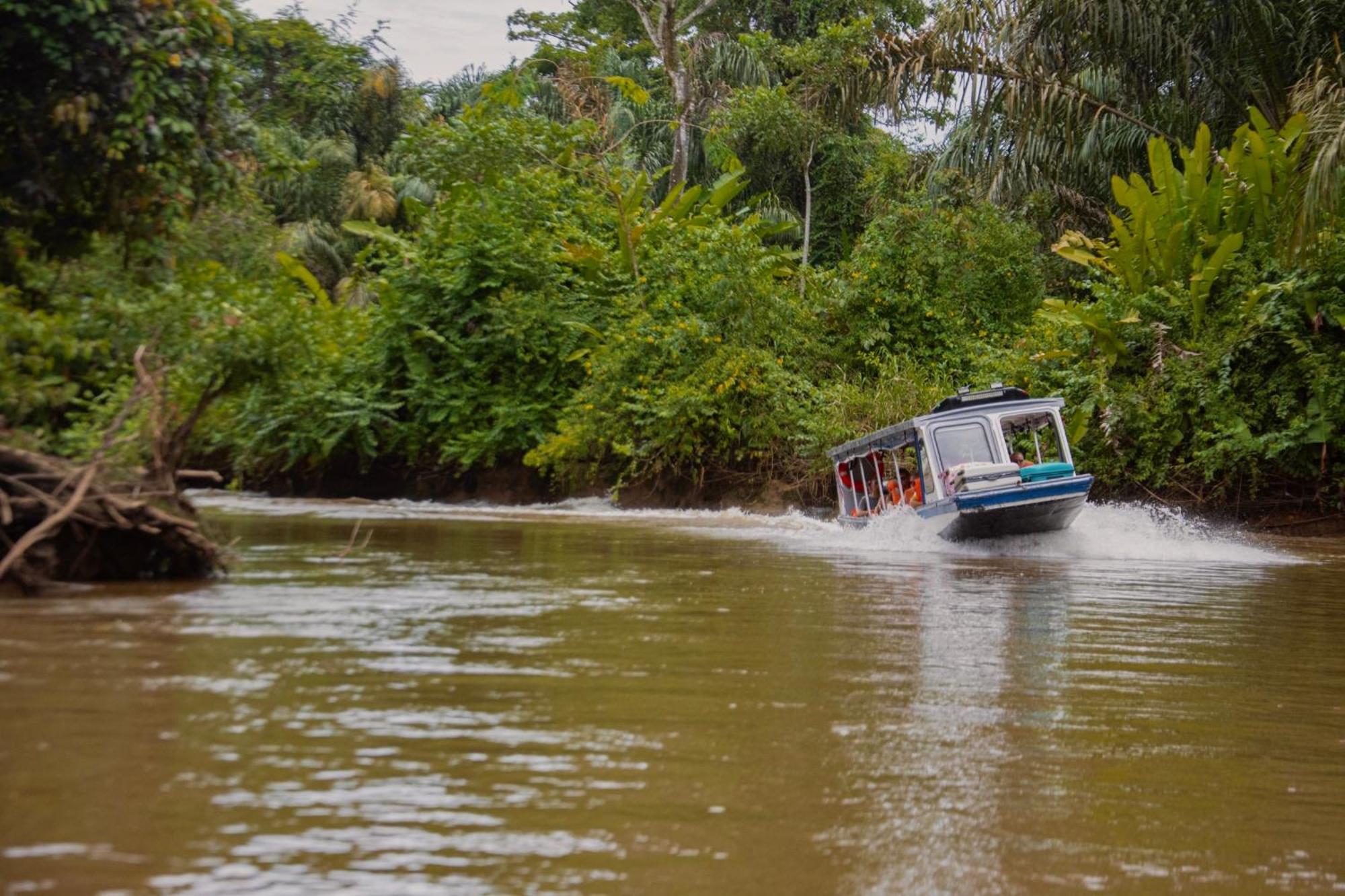 Carey Lodging Tortuguero Εξωτερικό φωτογραφία