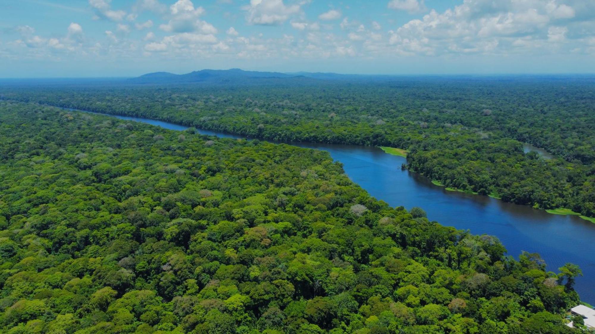 Carey Lodging Tortuguero Εξωτερικό φωτογραφία
