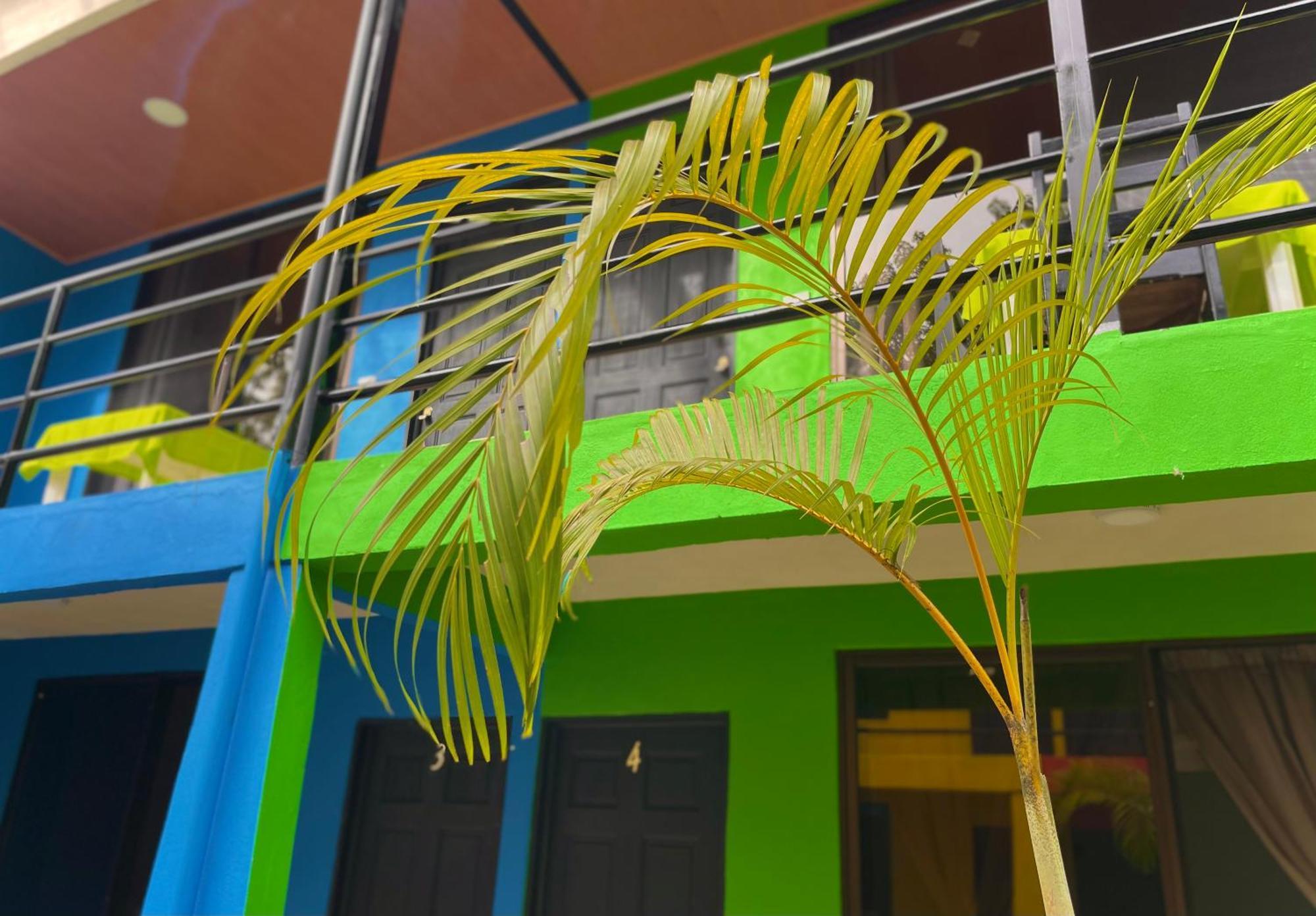 Carey Lodging Tortuguero Εξωτερικό φωτογραφία