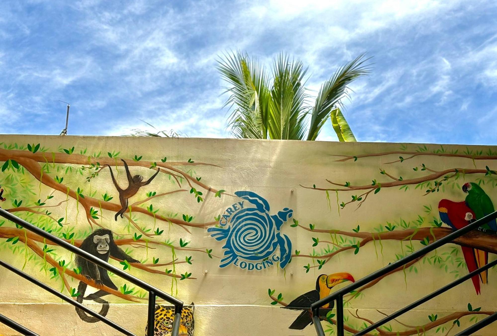 Carey Lodging Tortuguero Εξωτερικό φωτογραφία