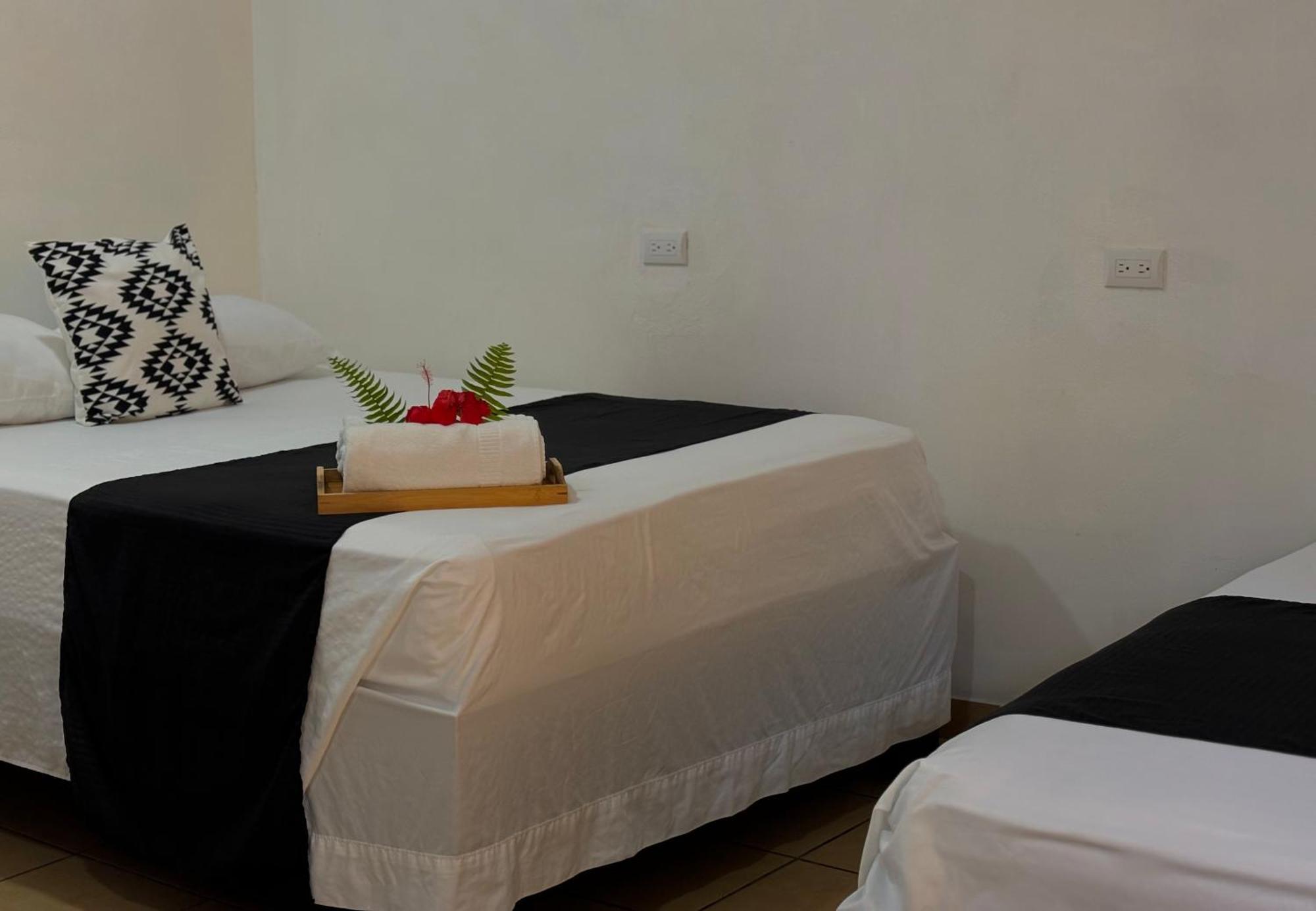 Carey Lodging Tortuguero Εξωτερικό φωτογραφία