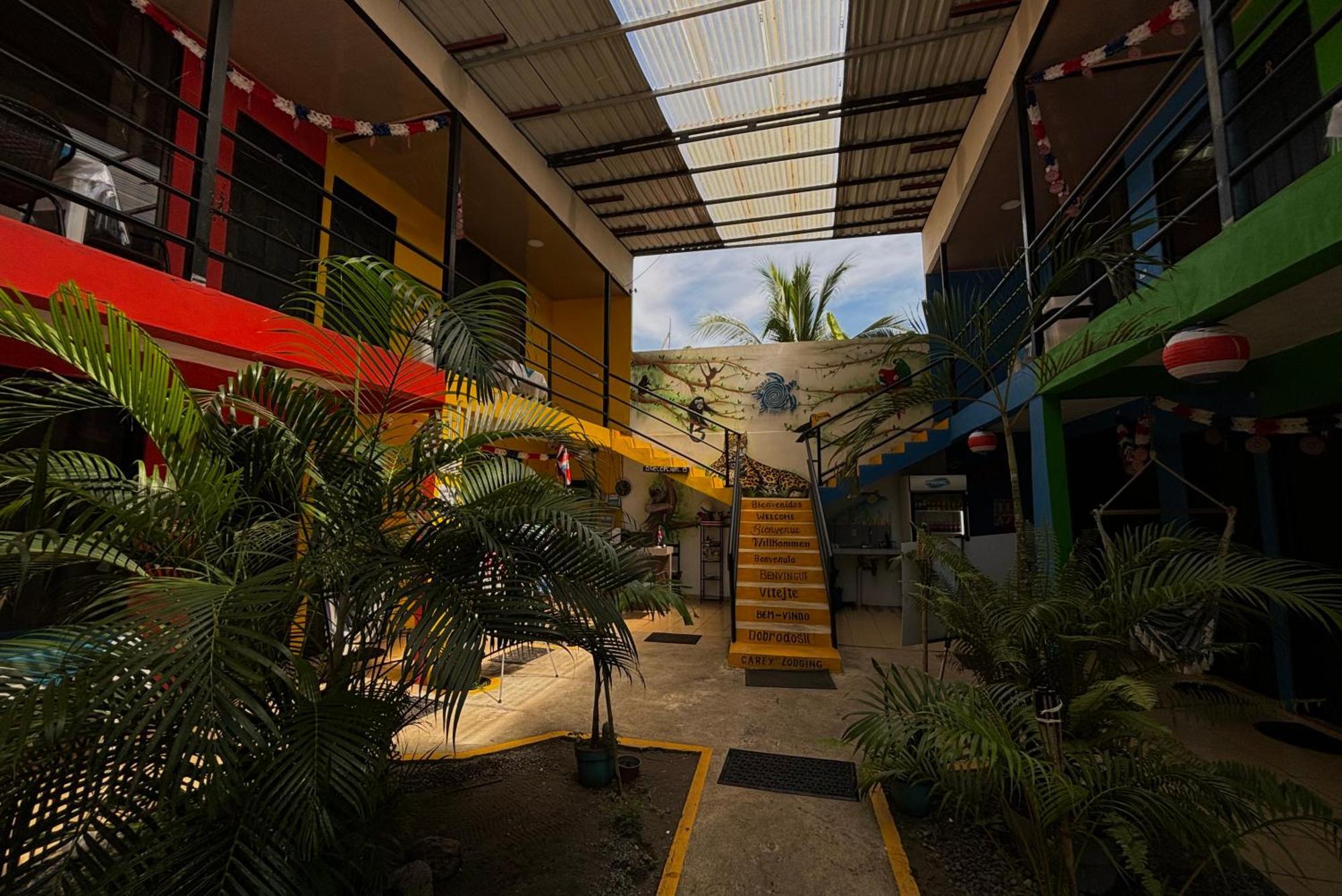 Carey Lodging Tortuguero Εξωτερικό φωτογραφία
